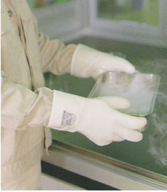 Silicone High Temperature Glove