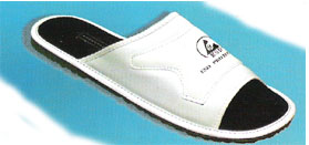 ESD Slipper